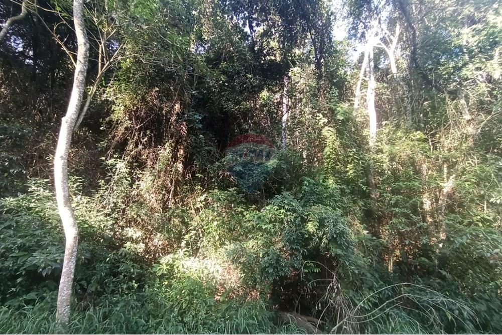 Terreno - Venda - Mairiporã , São Paulo - WhatsApp Image 2025-08-22 at 23.50.44.jpeg - 631361025-40