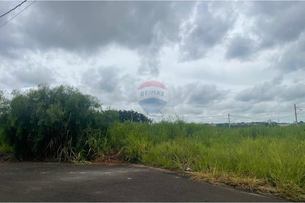 Terreno - Venda - Bady Bassitt , São Paulo - WhatsApp Image 2025-01-27 at 12.48.53 (3).jpeg - 631481002-88
