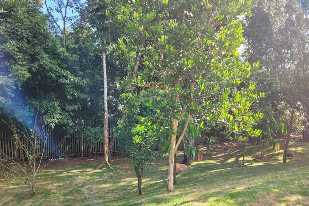 Chácara / Sítio / Fazenda - Venda - São Roque , São Paulo - WhatsApp Image 2026-01-19 at 12.52.46.jpeg - 631601019-35