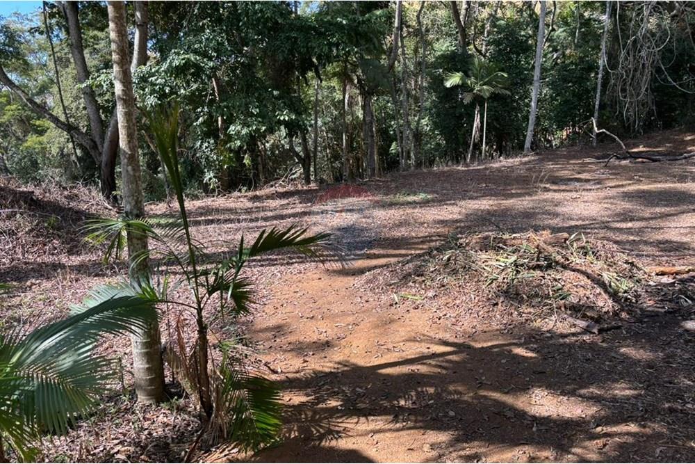 Chácara / Sítio / Fazenda - Venda - Bom Jardim , Rio de Janeiro - 90c159bd-fac4-46bd-93f5-b1191dde6a1f.jpg - 630171001-50