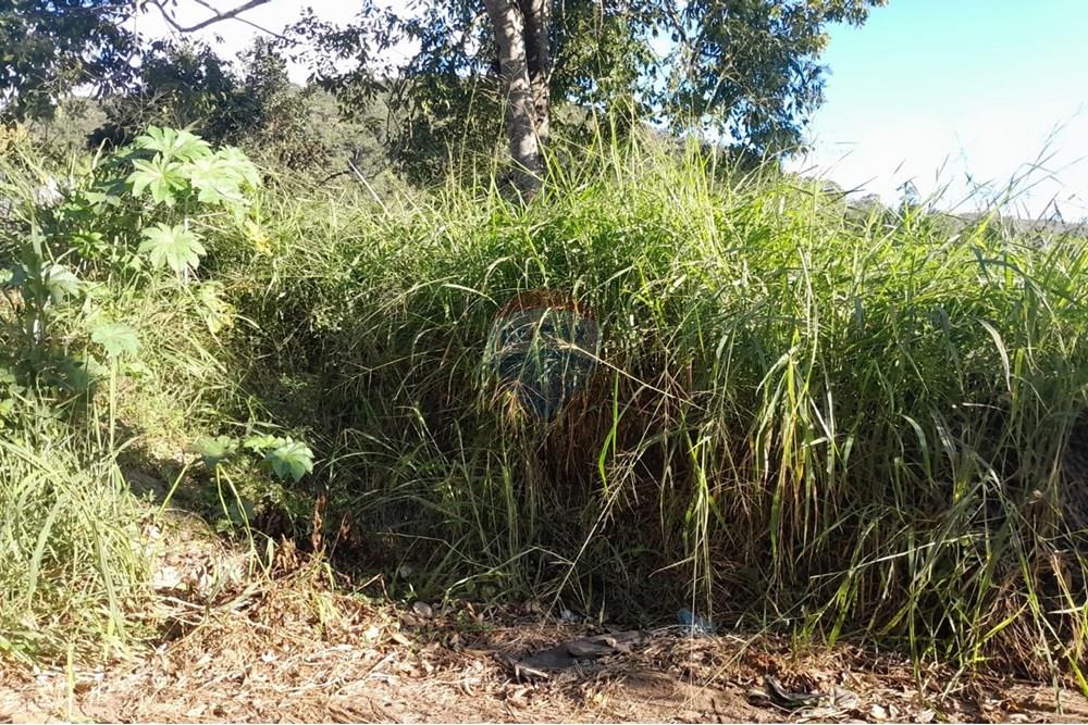 Terreno - Venda - Bom Jardim , Rio de Janeiro - WhatsApp Image 2025-06-23 at 12.14.22.jpeg - 630171008-20