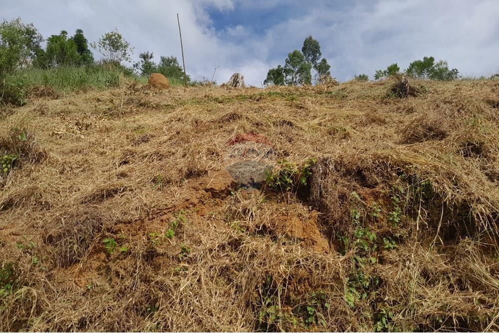 Terreno - Venda - Bom Jardim , Rio de Janeiro - WhatsApp Image 2025-01-18 at 09.51.52 (1).jpeg - 630171008-29