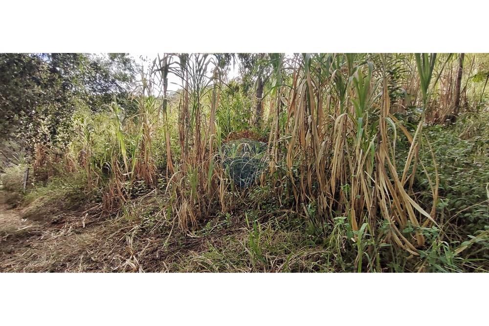 Terreno - Venda - Petrópolis , Rio de Janeiro - IMG_20250814_092800.jpg - 630131061-30