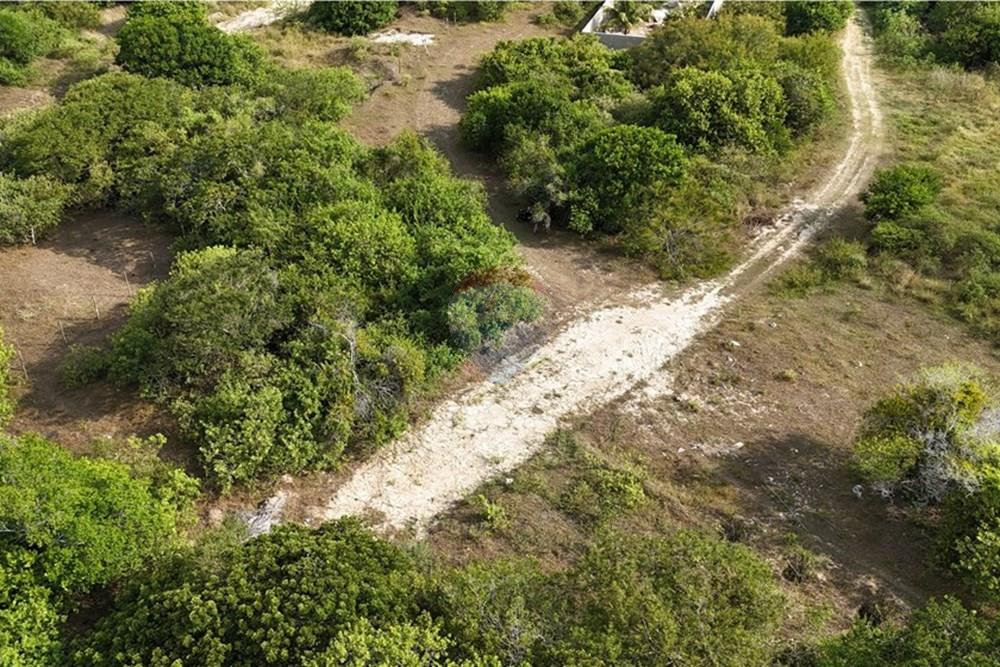 Terreno - Venda - Armação dos Búzios , Rio de Janeiro - dji_fly_20250310_154520_0019_1742265345177_photo(1).JPG - 630391033-21