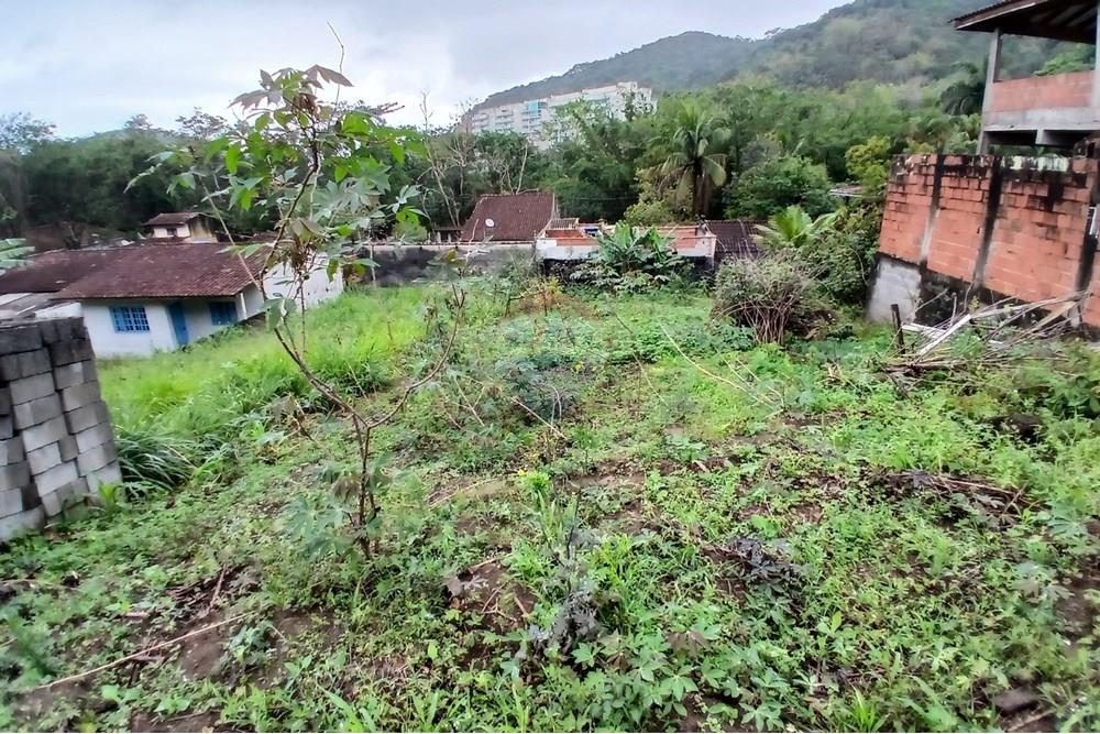 Terreno - Venda - Caraguatatuba , São Paulo - 20251009_100651.jpg - 631571013-20