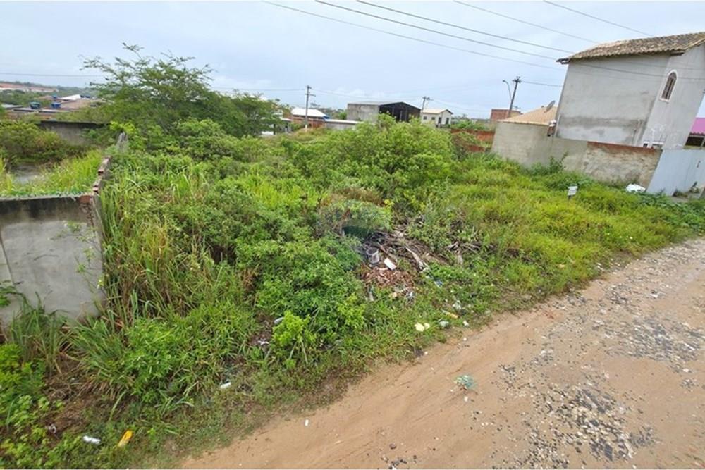 Terreno - Venda - Cabo Frio , Rio de Janeiro - 20260122_121708.jpg - 631551041-6