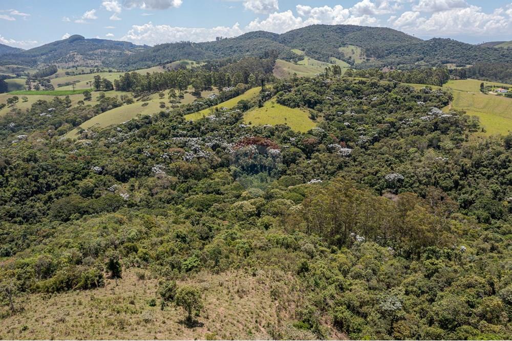 Chácara / Sítio / Fazenda - Venda - Guaratinguetá , São Paulo - FazendaITAJIBA-28.jpg - 630961014-63