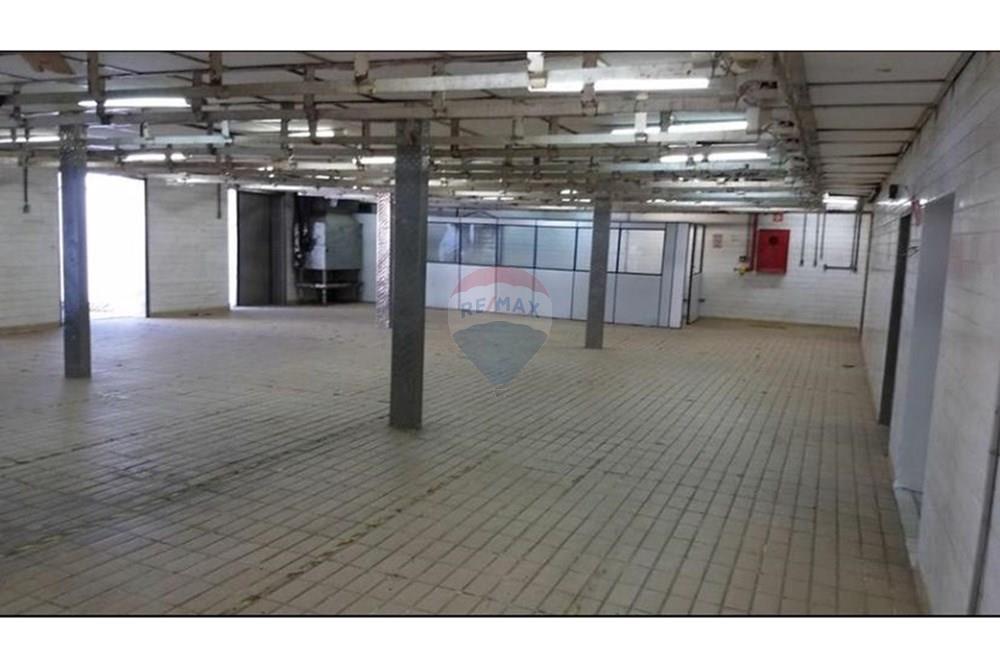 Galpão - Alugar - São Paulo , São Paulo - WhatsApp Image 2025-04-15 at 13.18.23 (1).jpeg - 631531001-131