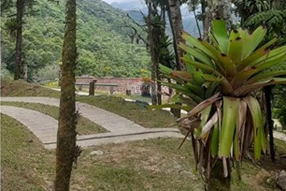 Chácara / Sítio / Fazenda - Venda - Nova Friburgo , Rio de Janeiro - 20250224_142758.jpg - 630551016-153