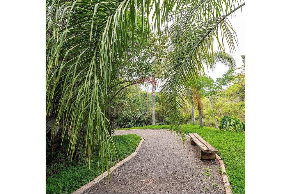 Terreno - Venda - Pardinho , São Paulo - Imagem do WhatsApp de 2025-03-21 à(s) 14.50.35_635857fb.jpg - 631081035-44