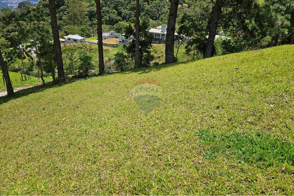 Terreno - Venda - Nova Friburgo , Rio de Janeiro - 20251111_103927.jpg - 630551024-83