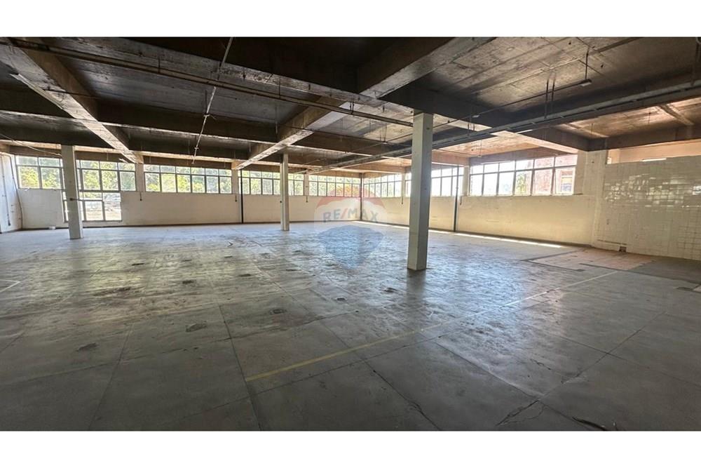 Galpão - Alugar - Petrópolis , Rio de Janeiro - IMG-20250221-WA0025.jpg - 630131065-26