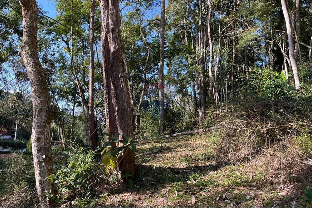 Terreno - Venda - Teresópolis , Rio de Janeiro - WhatsApp Image 2025-09-25 at 16.27.06 (4).jpeg - 630191097-5