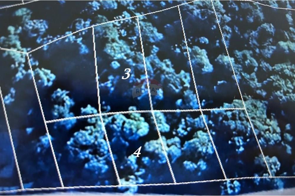 Terreno - Venda - Mairiporã , São Paulo - Imagem do WhatsApp de 2025-09-22 à(s) 14.09.16_2ab50412.jpg - 631361005-147