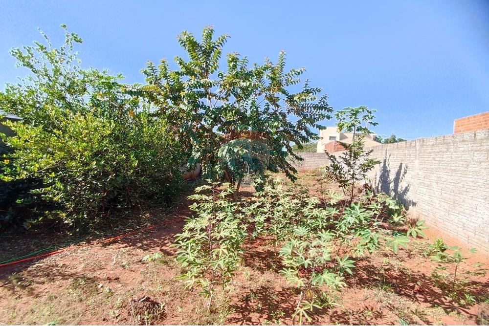 Terreno - Venda - Andradina , São Paulo - WhatsApp Image 2025-06-16 at 10.44.31 (1).jpeg - 631201029-76