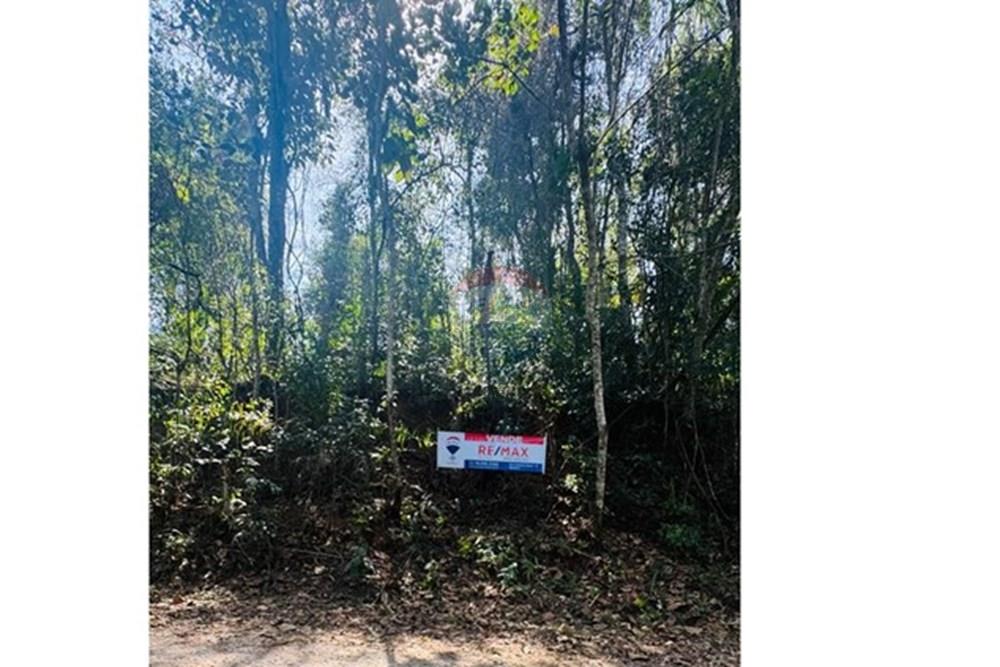 Terreno - Venda - Mairiporã , São Paulo - foto terreno Micael .jpeg - 631361065-3