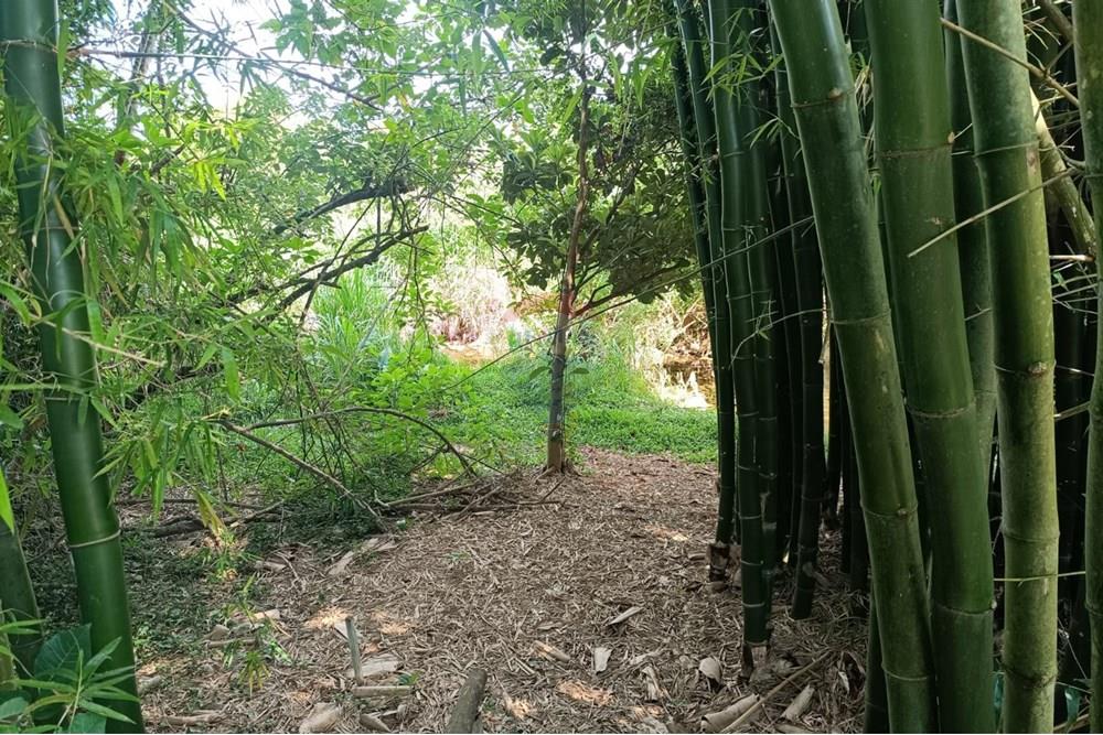 Casa - Venda - Teresópolis , Rio de Janeiro - WhatsApp Image 2025-12-15 at 16.20.27.jpeg - 630191109-9