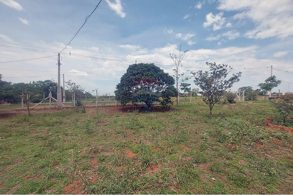 Chácara / Sítio / Fazenda - Venda - Taciba , São Paulo - Chacara Taciba (23).jpg - 630861066-19