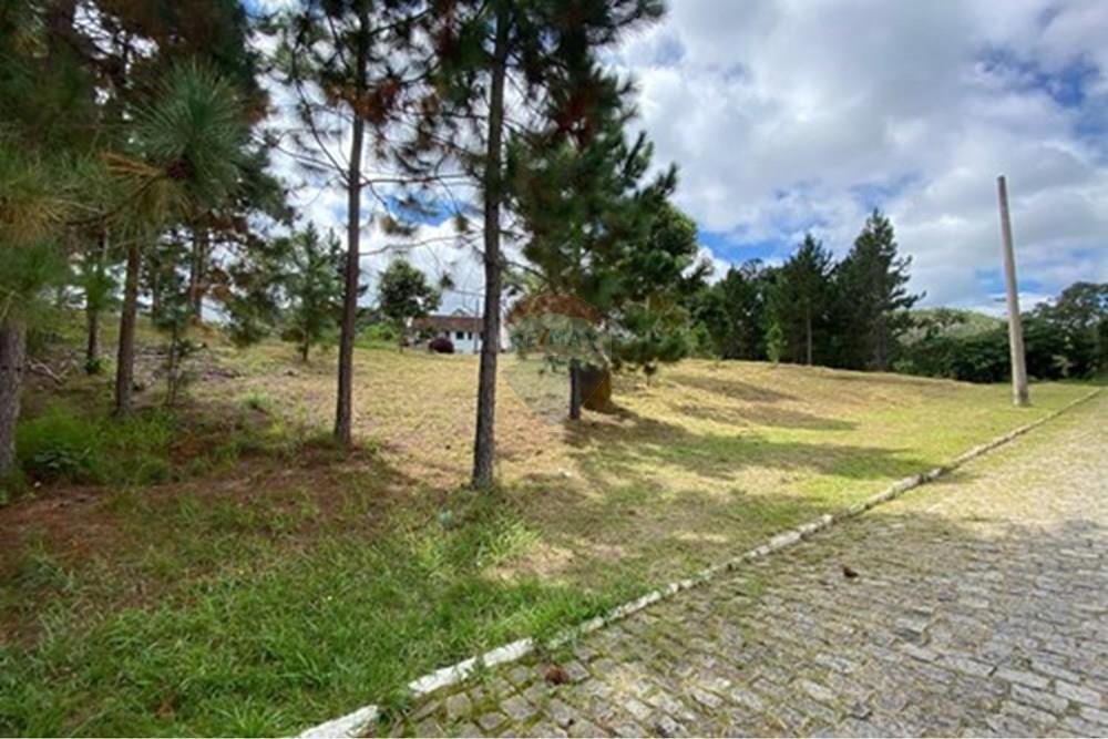 Apartamento - Venda - Nova Friburgo , Rio de Janeiro - L_8a661edf-d4e8-4097-a440-f828f1eb61e6.jpg - 630551055-135