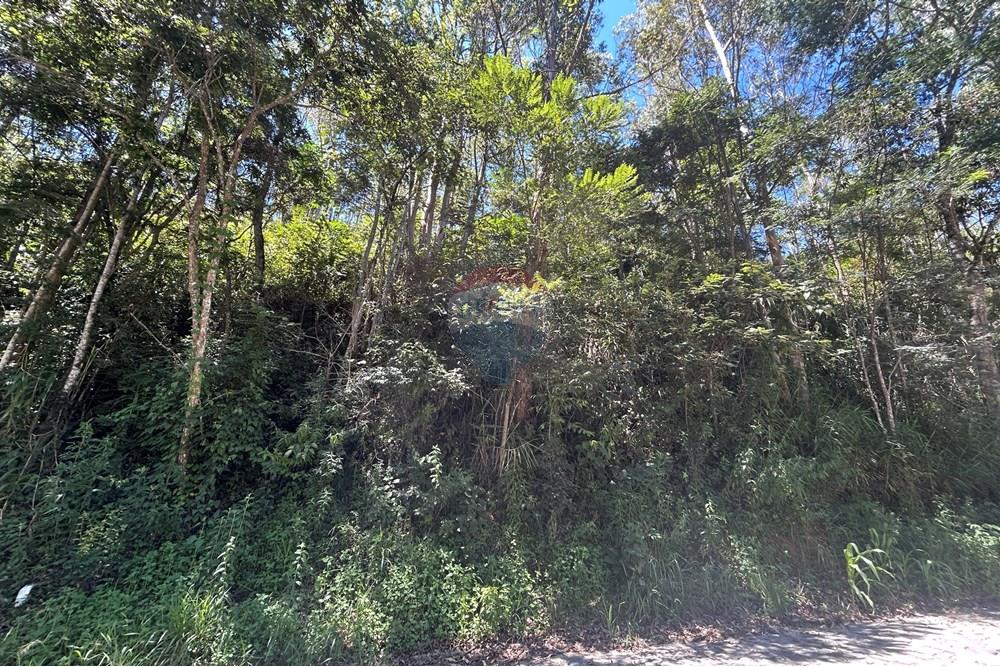 Terreno - Venda - Nova Friburgo , Rio de Janeiro - IMG_6785.JPG - 630551037-40