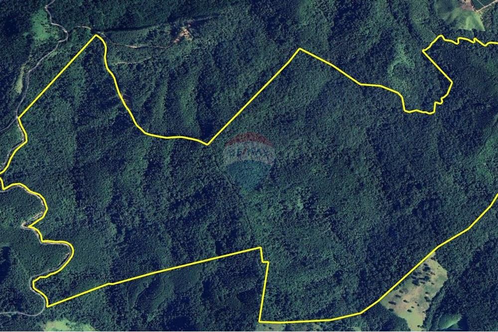 Fazenda - Venda - Barra do Chapéu , São Paulo - Imagem C.JPG - 630241005-71