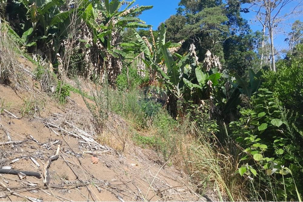 Chácara / Sítio / Fazenda - Venda - Bom Jardim , Rio de Janeiro - WhatsApp Image 2025-12-01 at 10.15.05.jpeg - 630171007-64