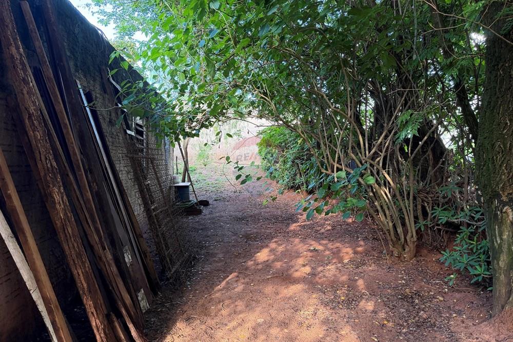 Terreno - Venda - Botucatu , São Paulo - IMG_0479.jpeg - 630111105-5