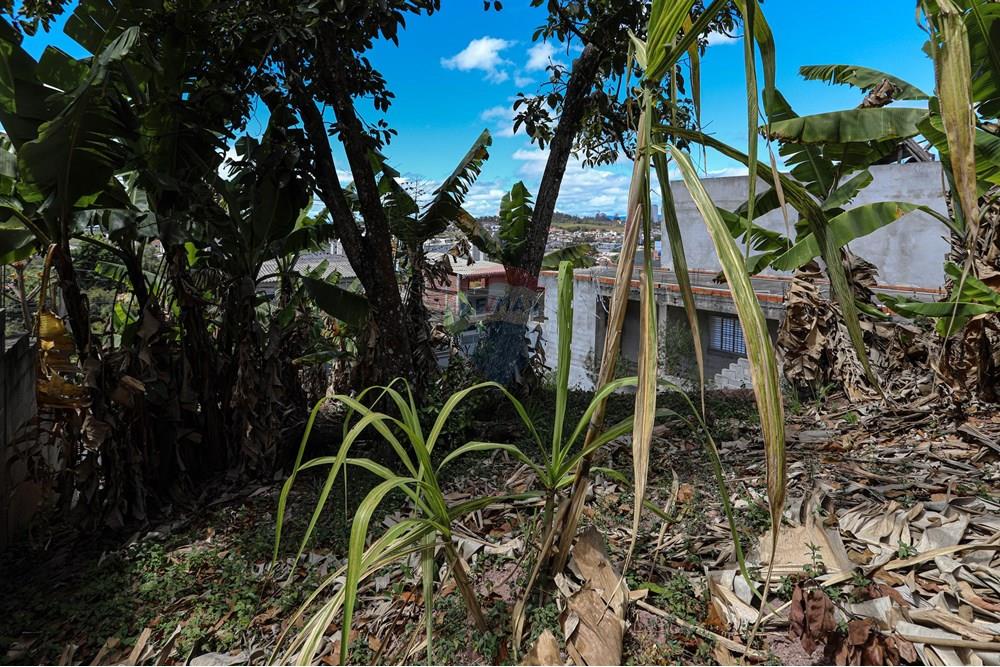 Terreno - Venda - Poá , São Paulo - Rua Ipero 15 - Remax-8.jpg - 630281090-19