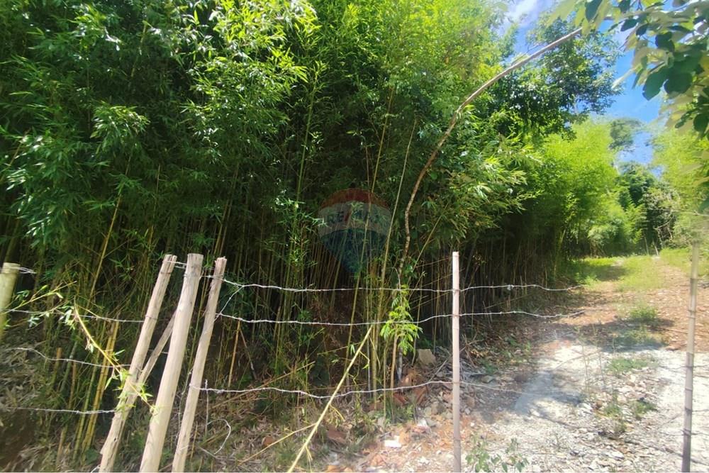 Terreno - Venda - Teresópolis , Rio de Janeiro - WhatsApp Image 2026-02-05 at 09.36.13.jpeg - 630191021-147