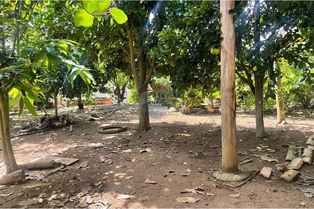 Chácara à venda com 3 quartos, 200m² - Foto 45