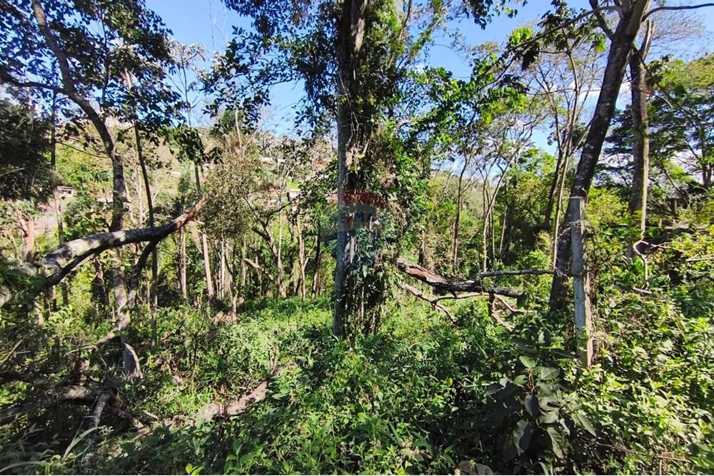 Terreno - Venda - Mairiporã , São Paulo - Terreno rafael 12.jpg - 631361059-12