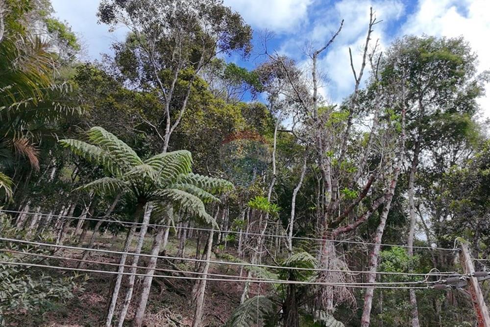 Terreno - Venda - Teresópolis , Rio de Janeiro - DJI_20251223091950_0239_D.JPG - 630191109-14
