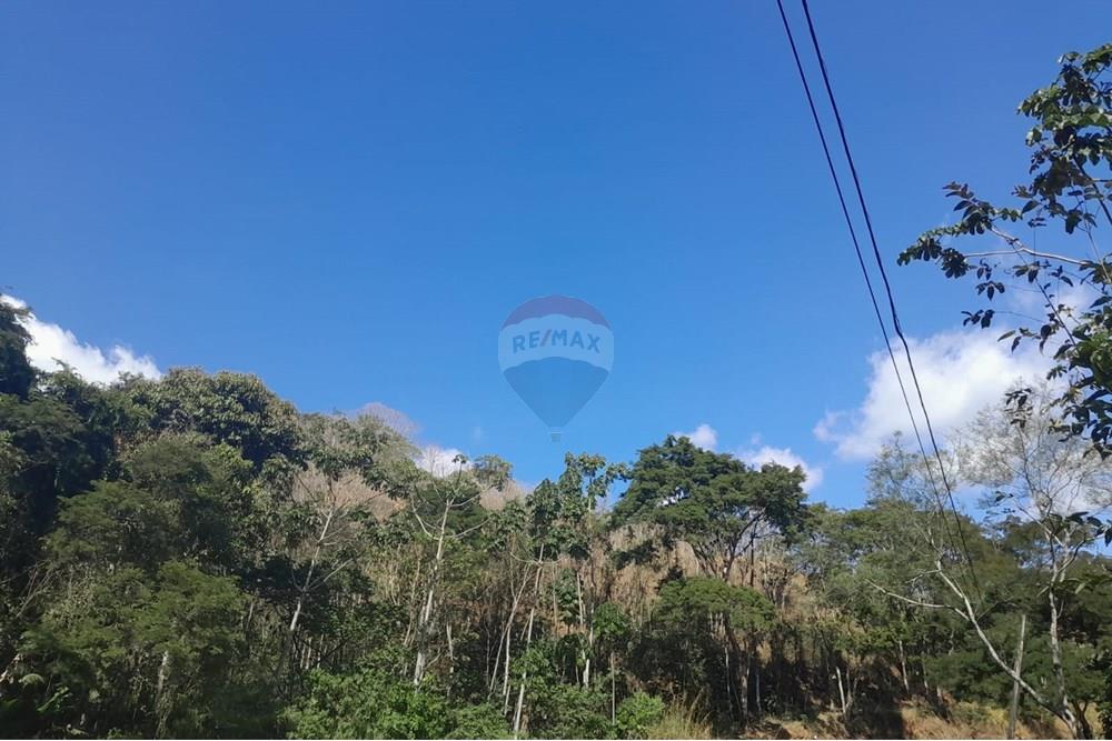 Terreno - Venda - Bom Jardim , Rio de Janeiro - WhatsApp Image 2025-08-14 at 11.01.25.jpeg - 630171007-56