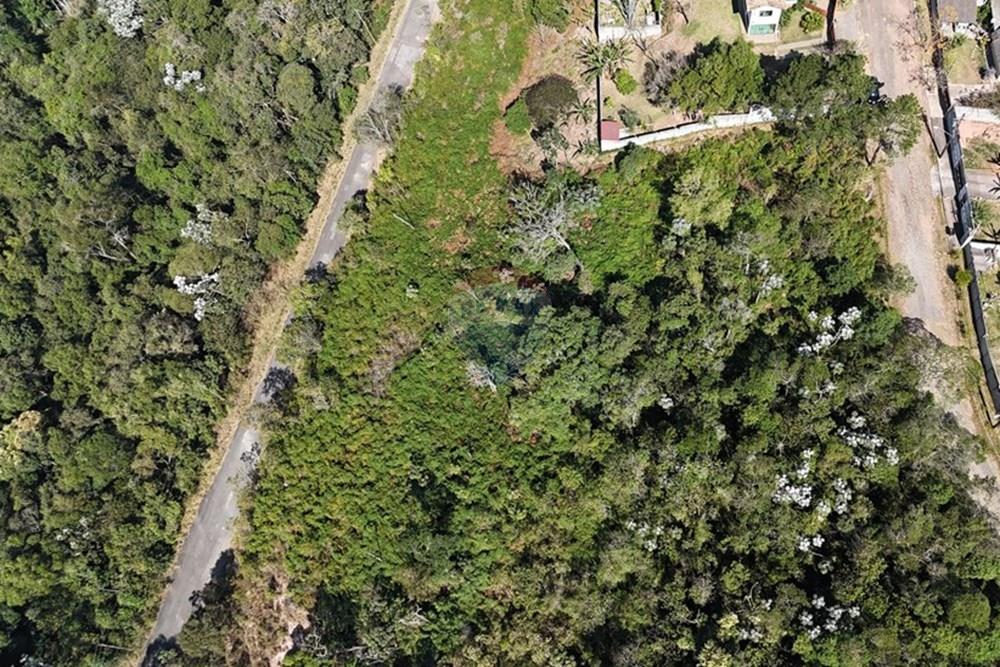 Terreno - Venda - Mogi das Cruzes , São Paulo - DJI_20250911140849_0670_D.JPG - 631251050-25