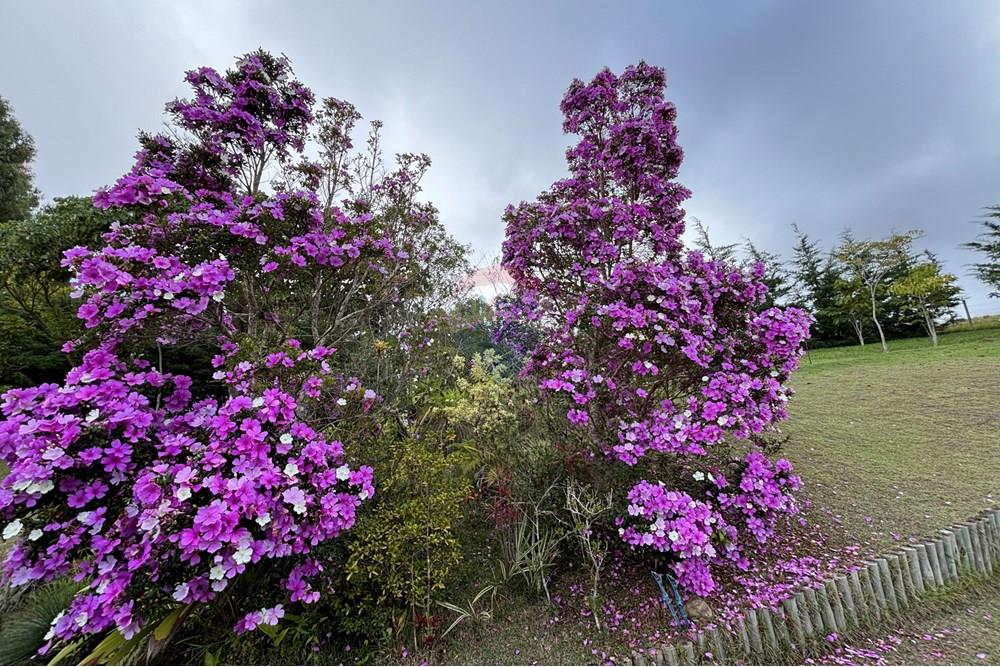 Chácara / Sítio / Fazenda - Venda - Guaratinguetá , São Paulo - IMG_0313.JPG - 630961014-63