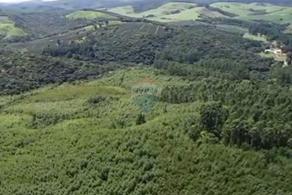 Chácara / Sítio / Fazenda - Venda - Ribeirão Branco , São Paulo - Captura de tela 2025-08-08 170246.jpg - 630541038-45