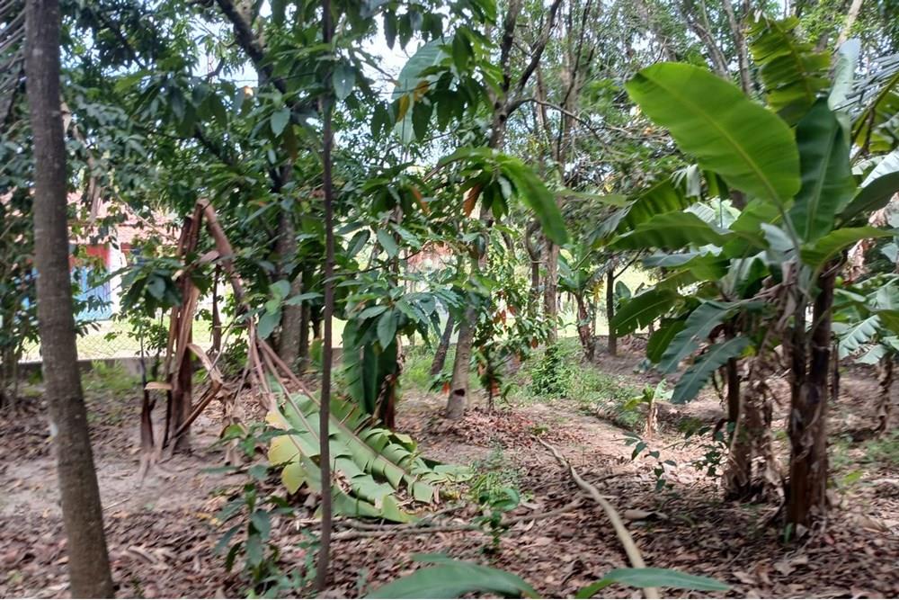 Chácara / Sítio / Fazenda - Venda - Salto de Pirapora , São Paulo - 223.jpeg - 631181053-21