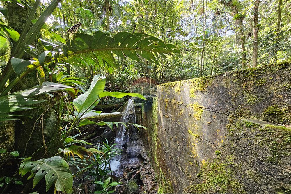 Residential - फार्म - Nova Friburgo , रिओ डे जैनेरो - BR - 83 - 630551016-150