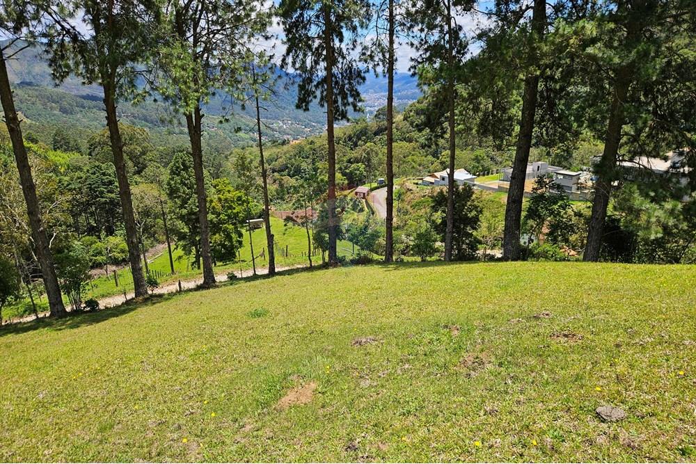 Terreno - Venda - Nova Friburgo , Rio de Janeiro - 20251111_104018.jpg - 630551024-83