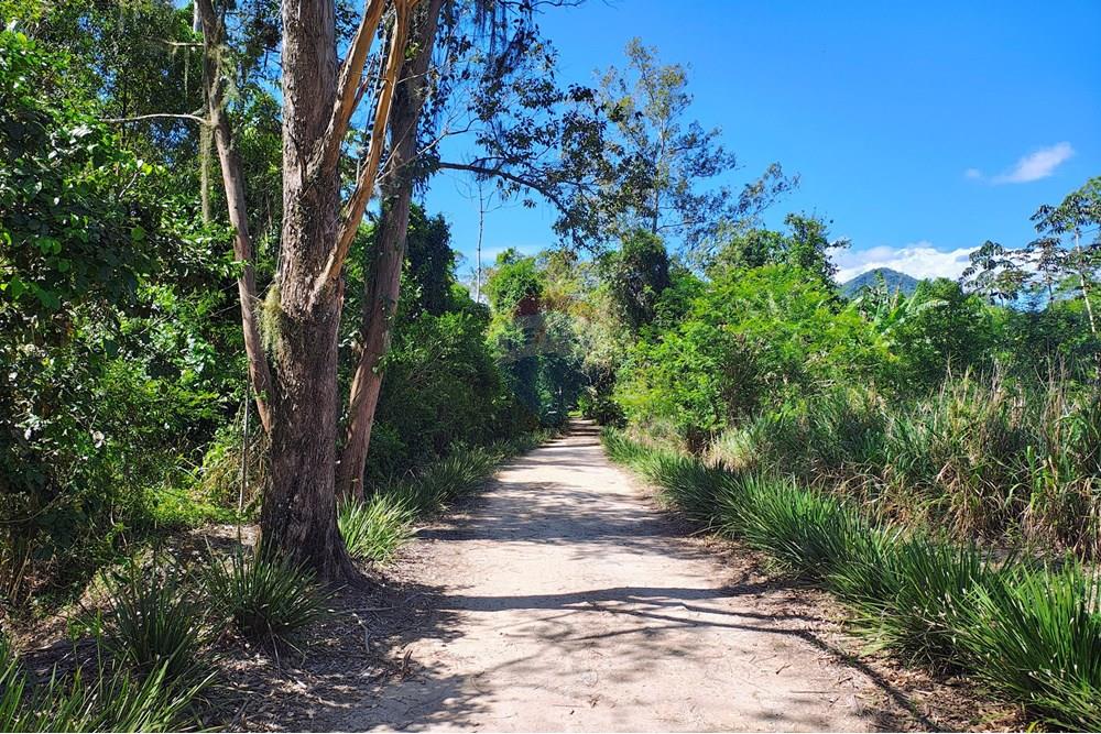 Outros - Alugar - Rio de Janeiro , Rio de Janeiro - IMG_20251110_140802983_HDR_AE (1).jpg - 630121005-376