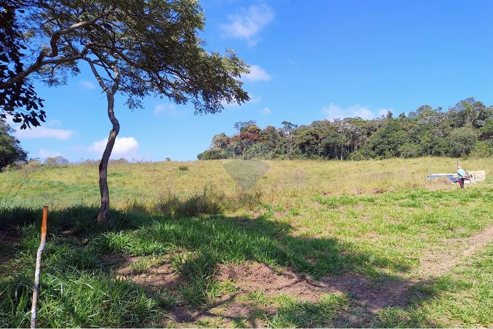 Terreno - Venda - Mogi das Cruzes , São Paulo - IMG_20250505_095756404_AE.jpg - 631251047-137
