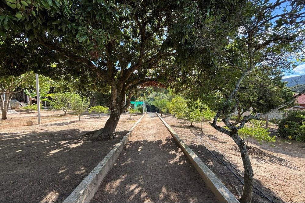 Casa de Campo - Venda - Araçoiaba da Serra , São Paulo - IMG_6233.jpeg - 630591061-149