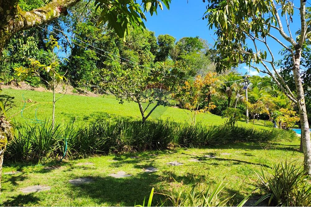 Outros - Alugar - Rio de Janeiro , Rio de Janeiro - IMG_20251110_141638320_BURST000_COVER.jpg - 630121005-376