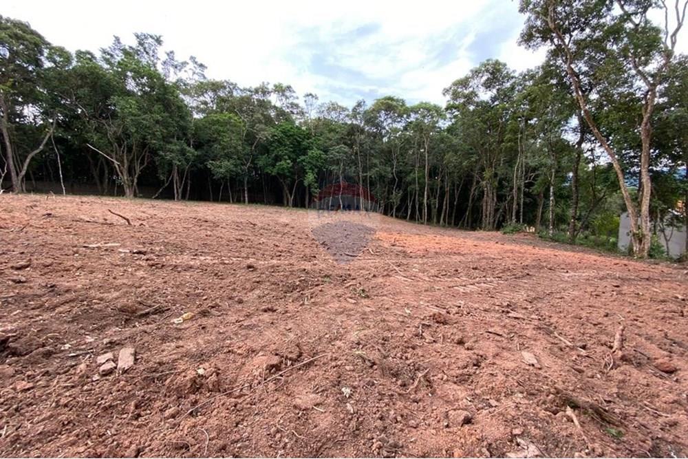 Terreno - Alugar - São Roque , São Paulo - WhatsApp Image 2025-11-27 at 10.04.45 (1).jpeg - 631601017-70