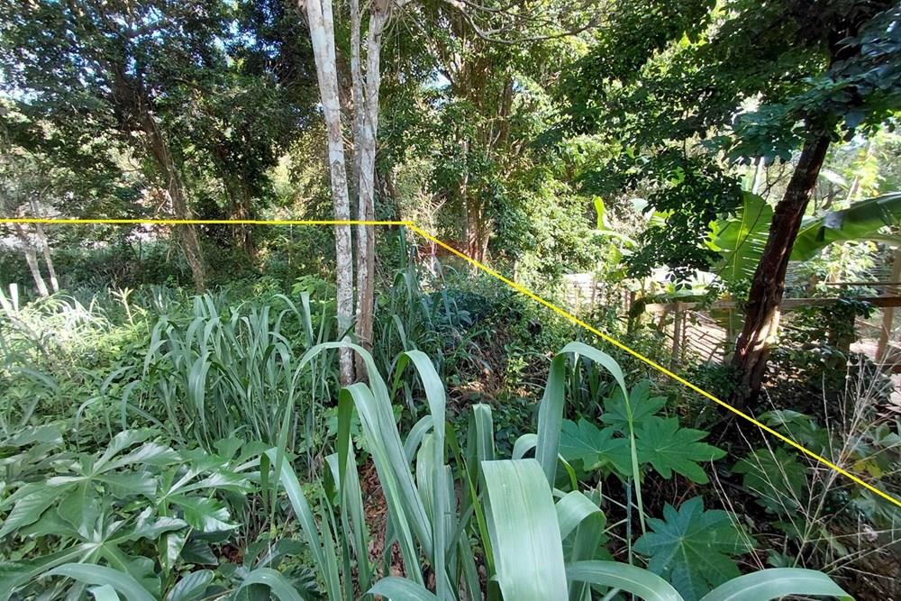 Terreno - Venda - Armação dos Búzios , Rio de Janeiro - 20260206_163752.jpg - 630391071-28