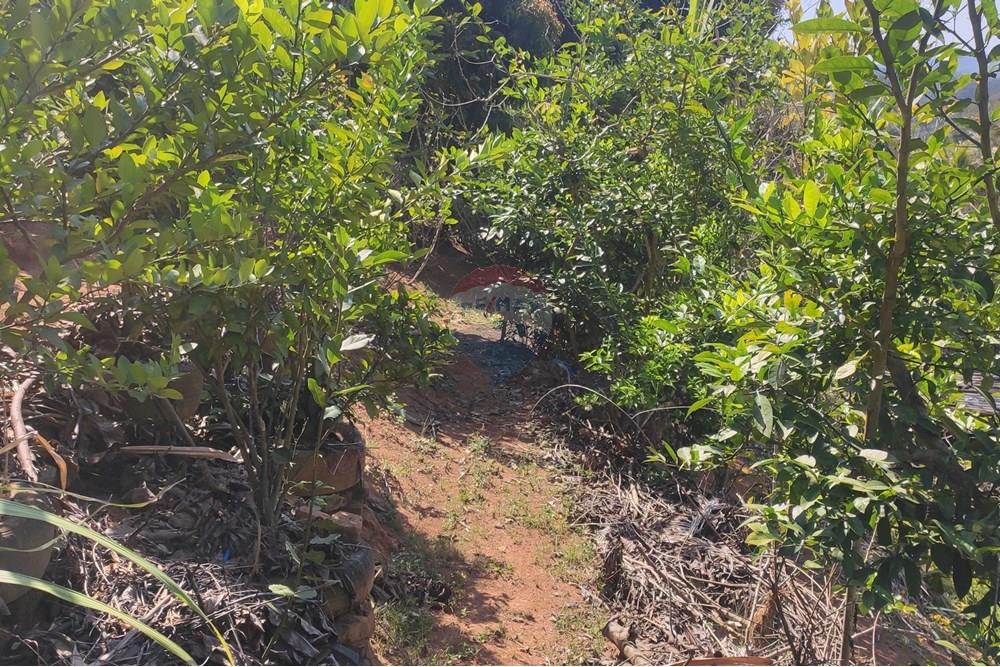 Terreno - Venda - Paraíba do Sul , Rio de Janeiro - IMG_20250911_133603.jpg - 631411007-4