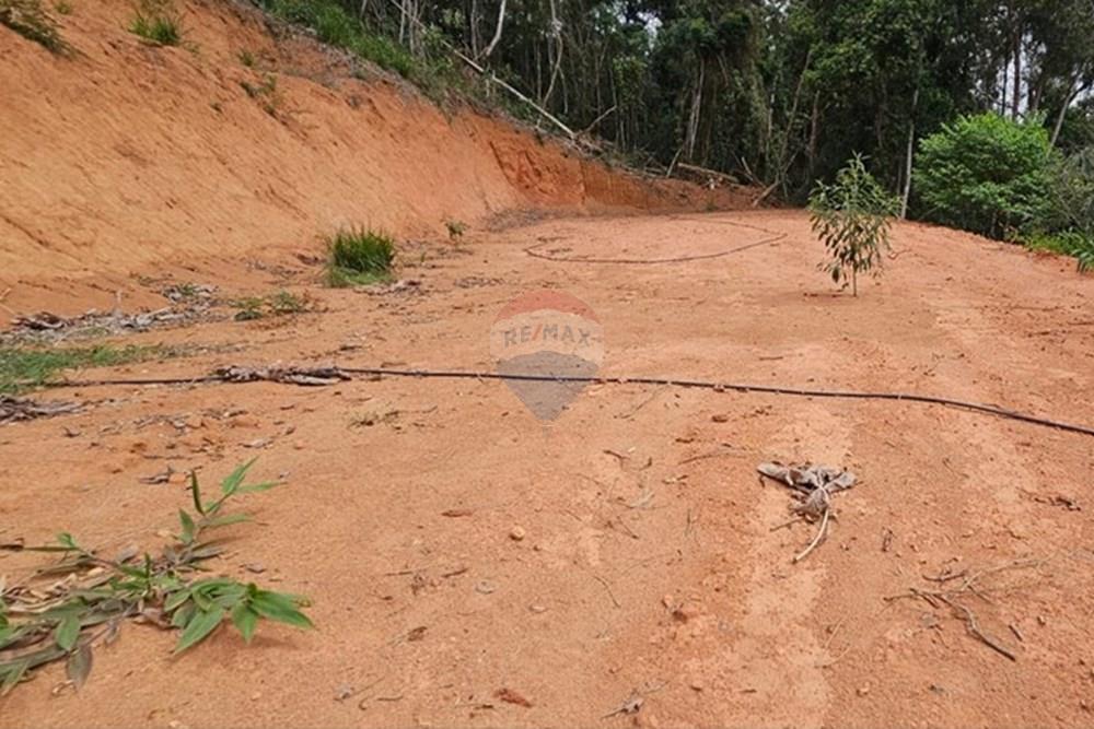 Terreno - Venda - Teresópolis , Rio de Janeiro - WhatsApp Image 2026-01-27 at 14.34.57 (1).jpeg - 630191101-10