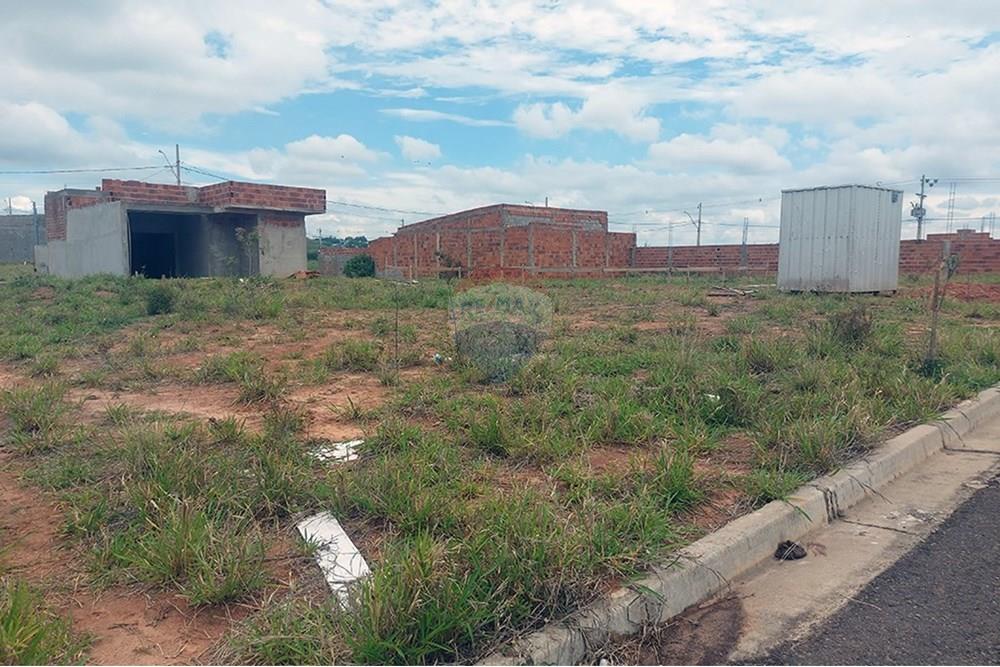 Terreno - Venda - Presidente Prudente , São Paulo - 20251027_132103.jpg - 630861066-12