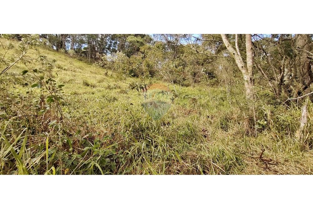 Terreno - Venda - Petrópolis , Rio de Janeiro - IMG_20250814_092725.jpg - 630131061-30