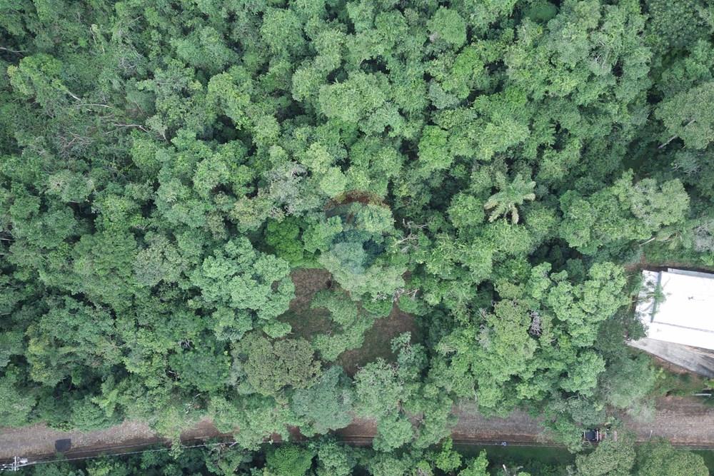 Terreno - Venda - Mairiporã , São Paulo - FIMI0342 (Custom).JPG - 631361041-55